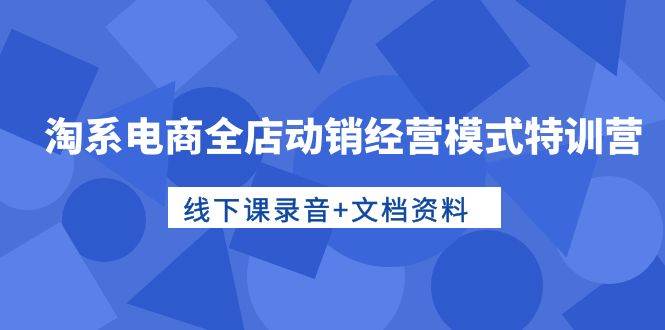 淘系电商全店动销经营模式特训营，线下课录音+文档资料网赚项目-副业赚钱-互联网创业-资源整合小白项目资源网