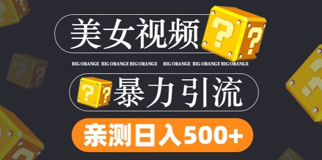 搬运tk美女视频全网分发，日引s粉300+，轻松变现，不限流量不封号【揭秘】网赚项目-副业赚钱-互联网创业-资源整合小白项目资源网