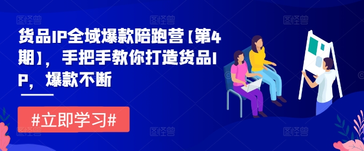 货品IP全域爆款陪跑营【第4期】，手把手教你打造货品IP，爆款不断网赚项目-副业赚钱-互联网创业-资源整合小白项目资源网