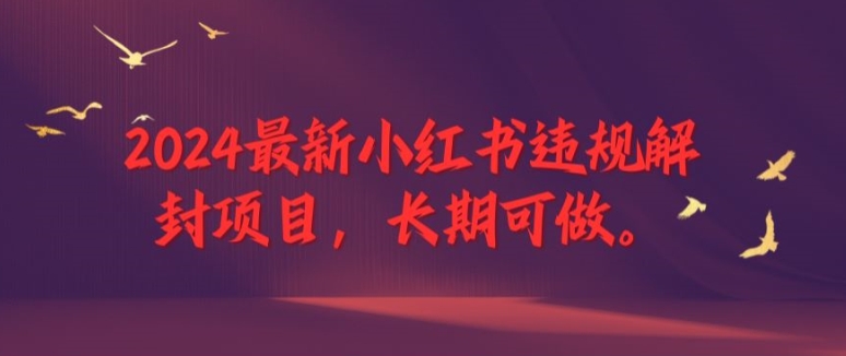 2024最新小红书违规解封项目，长期可做，一个可以做到退休的项目【揭秘】网赚项目-副业赚钱-互联网创业-资源整合小白项目资源网