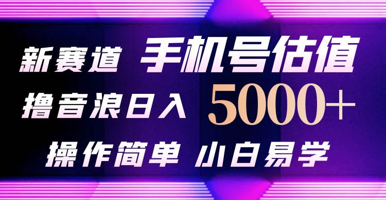 抖音不出境直播【手机号估值】最新撸音浪，日入5000+，简单易学，适合…网赚项目-副业赚钱-互联网创业-资源整合小白项目资源网