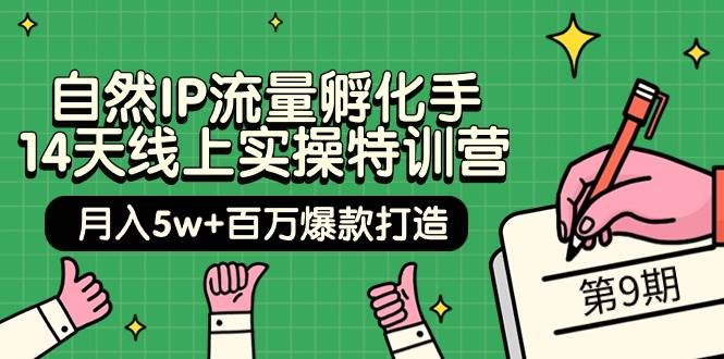 自然IP流量孵化手 14天线上实操特训营【第9期】月入5w+百万爆款打造 (74节)网赚项目-副业赚钱-互联网创业-资源整合小白项目资源网