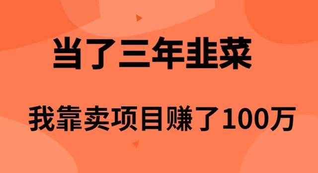 当了3年韭菜，我靠卖项目赚了100万网赚项目-副业赚钱-互联网创业-资源整合小白项目资源网