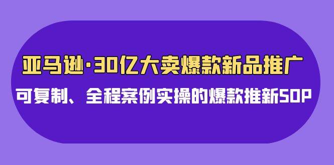 亚马逊30亿·大卖爆款新品推广，可复制、全程案例实操的爆款推新SOP网赚项目-副业赚钱-互联网创业-资源整合小白项目资源网